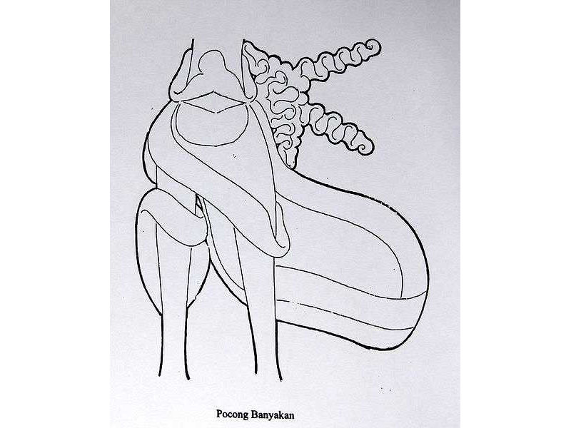 banyakan-wrap around-waist band
